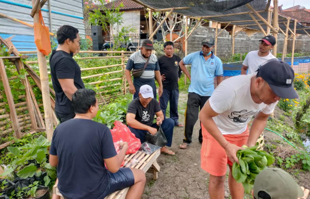 Panen Hasil Kelompok Ketahanan Pangan Desa Dalung